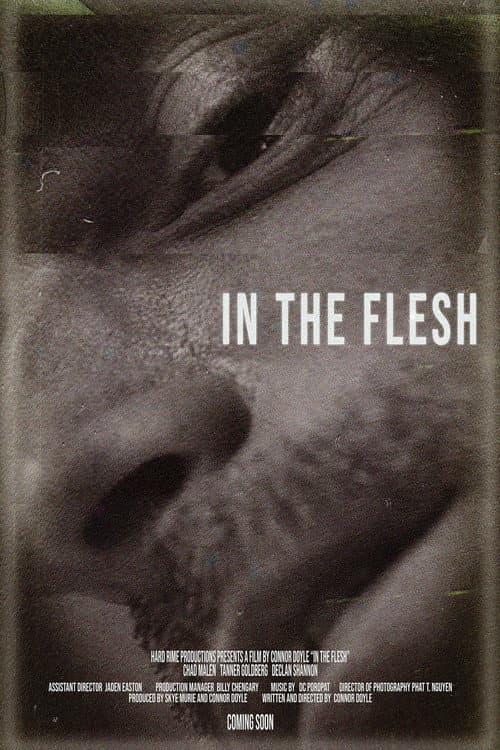 Постер: In the Flesh