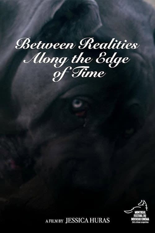 Постер: Between Realities Along the Edge of Time