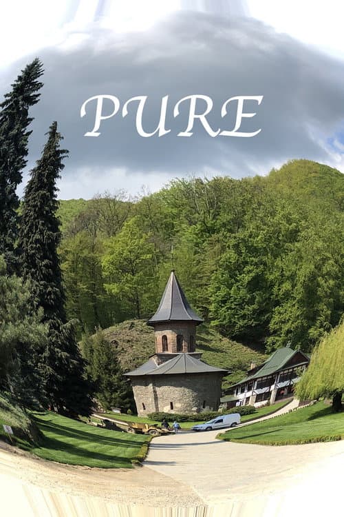Постер: Pure