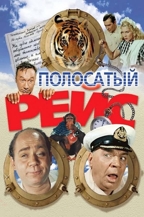 Кадр 6
