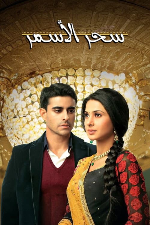 Постер: Saraswatichandra
