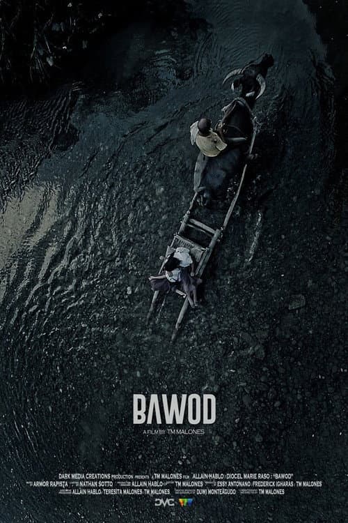 Постер: Bawod