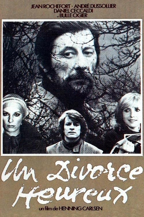 Постер: Un divorce heureux