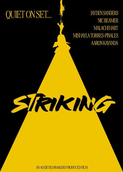 Постер: STRIKING