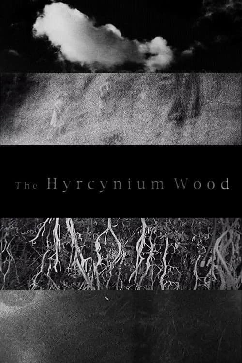 Постер: The Hyrcynium Wood