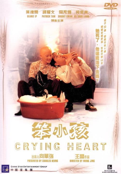 Постер: 笨小孩