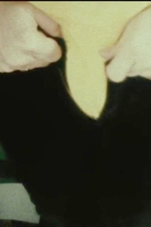 Постер: Five Year Diary, Reel 1: The Beginning Thanksgiving (November 3–December 13, 1981)