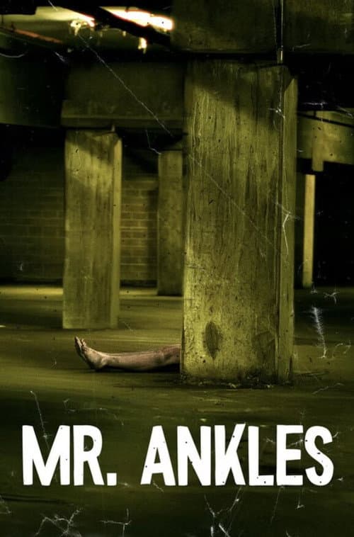 Постер: Mr. Ankles