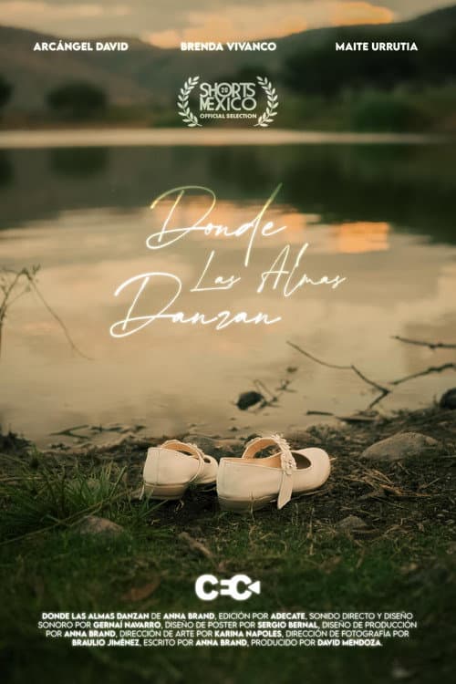 Постер: Donde Las Almas Danzan