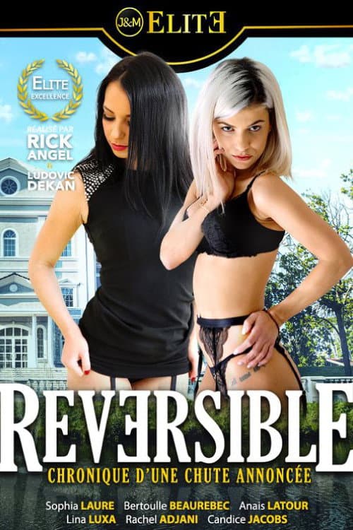 Постер: Reversible