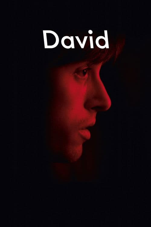 Постер: David