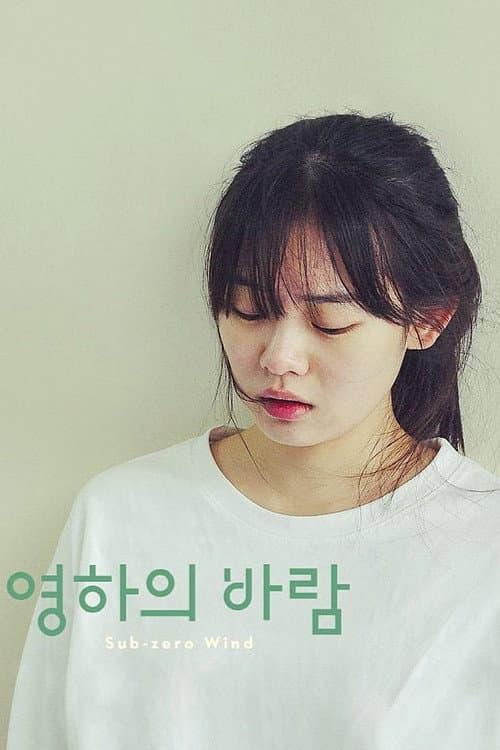 Постер: 영하의 바람