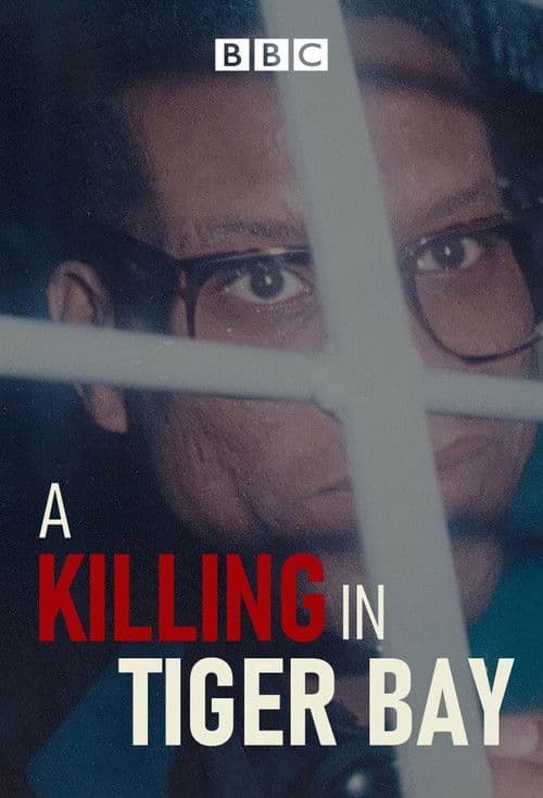 Постер: A Killing in Tiger Bay