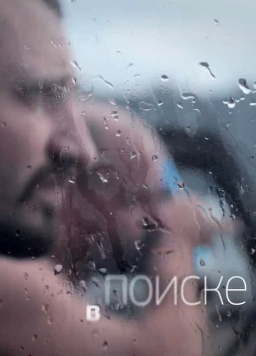 Постер: В поиске