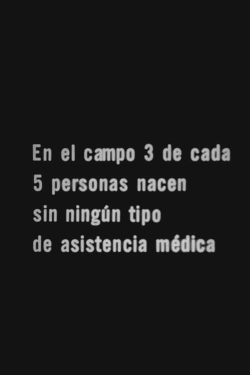 Постер: Los 505