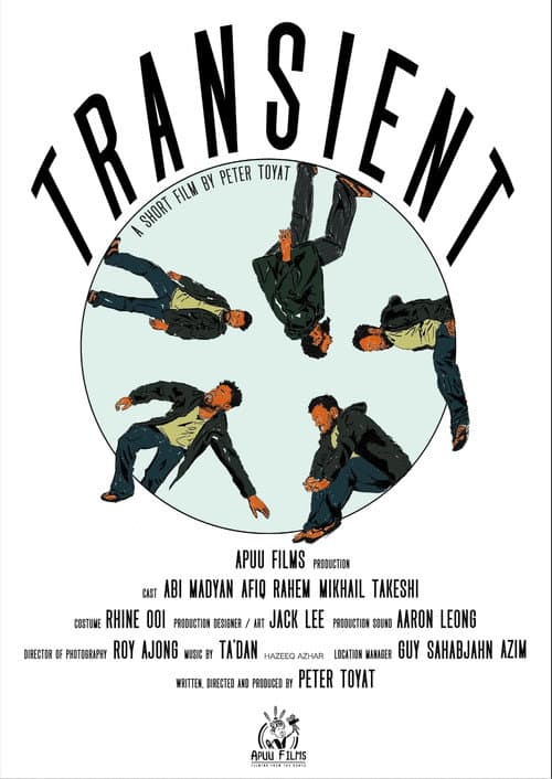 Постер: Transient