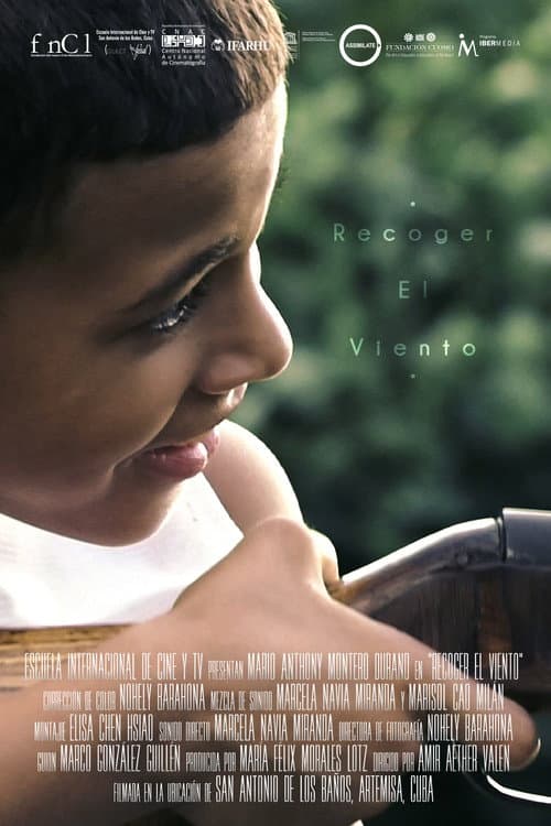 Постер: Recoger El Viento