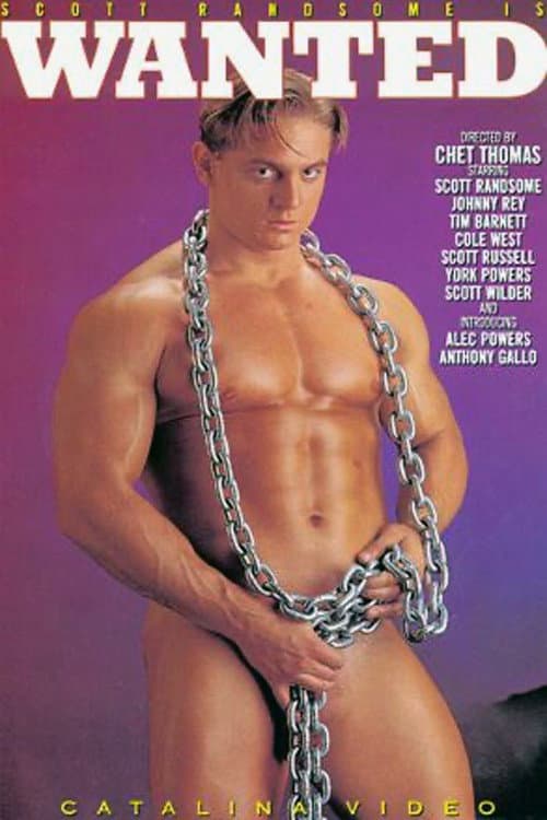 Постер: Wanted