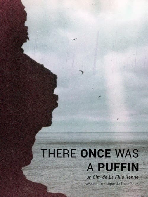 Постер: There Once was A Puffin