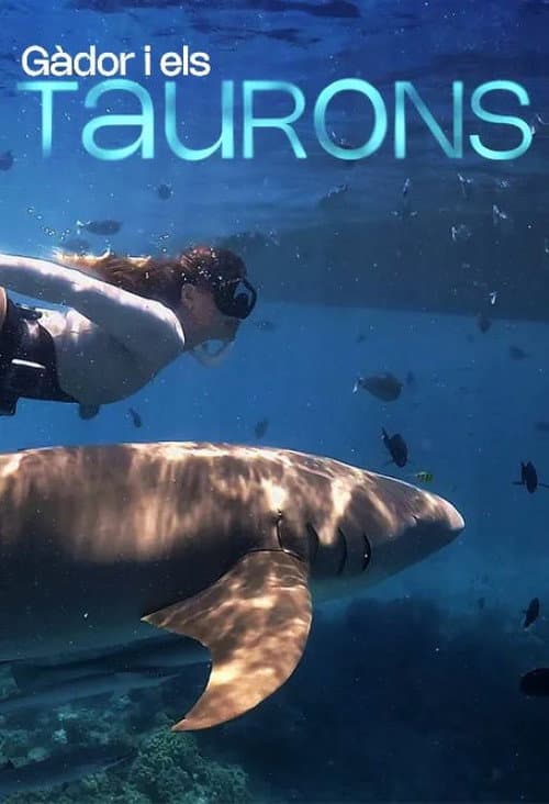 Постер: Gàdor i els taurons