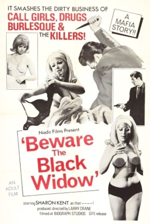 Постер: Beware the Black Widow
