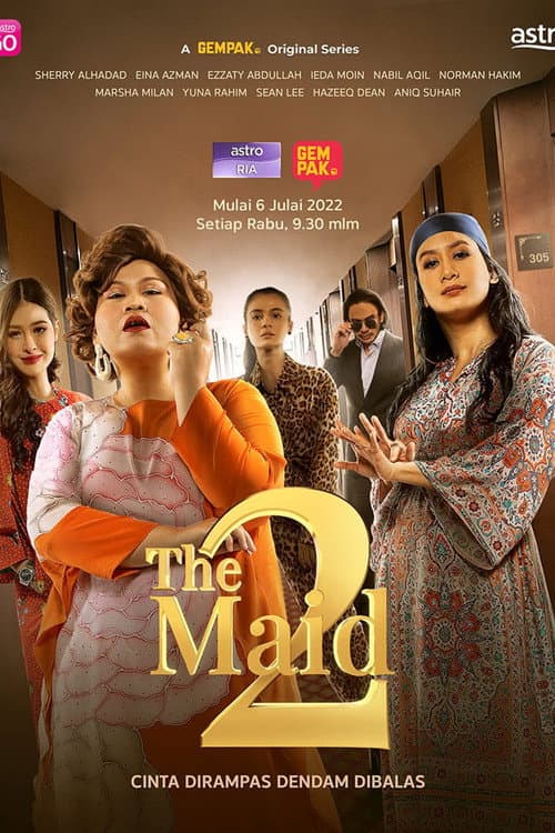 Постер: Sinopsis The Maid 2