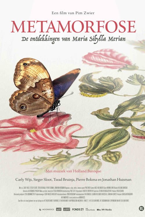 Постер: Metamorfose