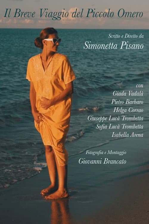Постер: Il breve viaggio del piccolo Omero
