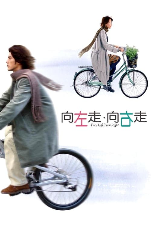 Постер: 向左走．向右走