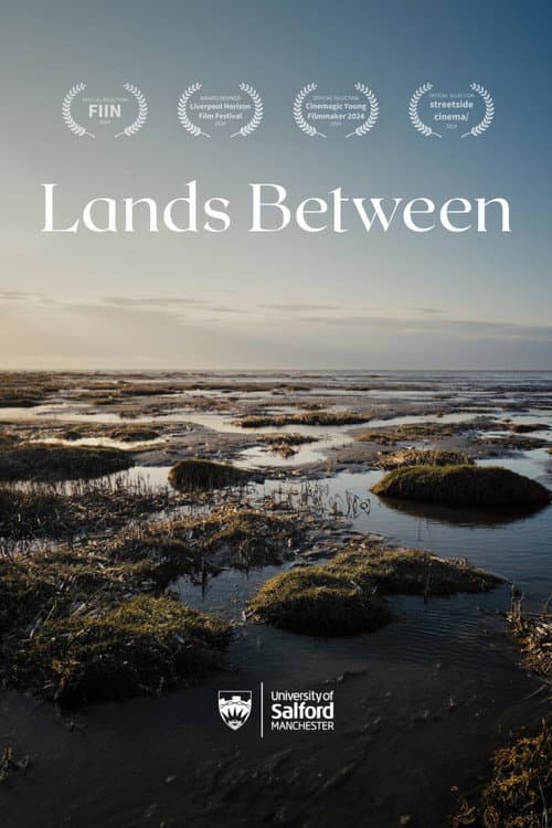 Постер: Lands Between