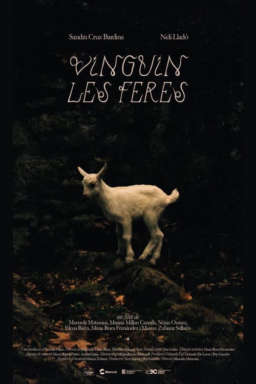 Постер: Vinguin les feres