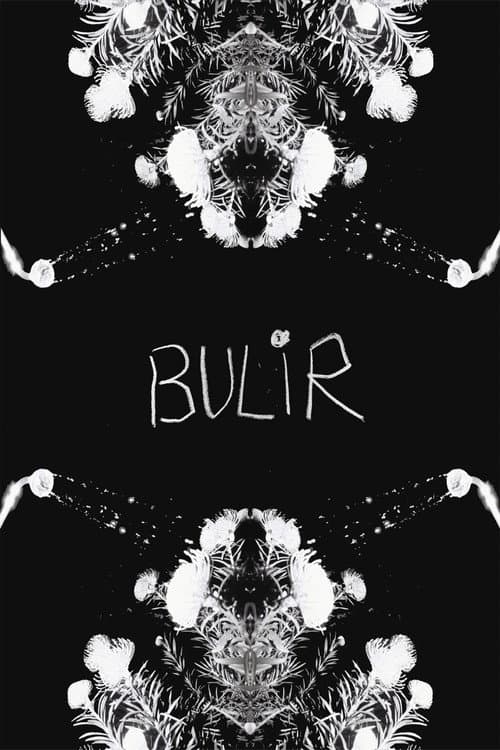 Постер: BULIR