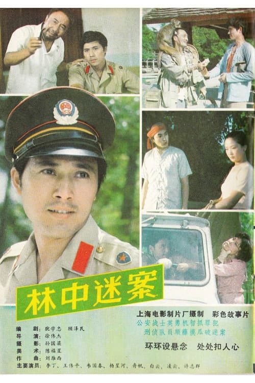 Постер: 林中迷案