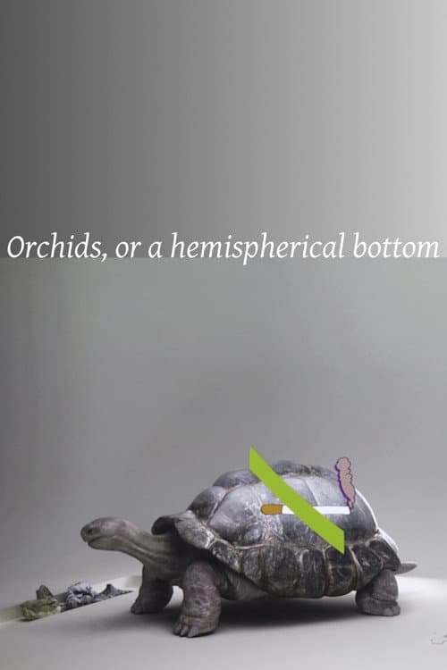 Постер: Orchids, or a hemispherical bottom