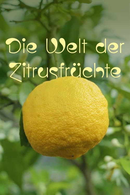 Постер: Die Welt der Zitrusfrüchte