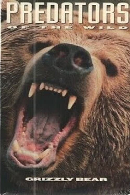 Постер: Predators of the Wild: Grizzly Bear