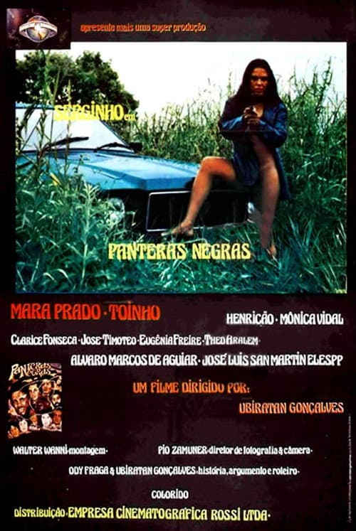 Постер: As Panteras Negras do Sexo