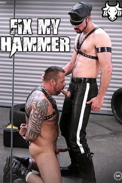 Постер: Fix My Hammer
