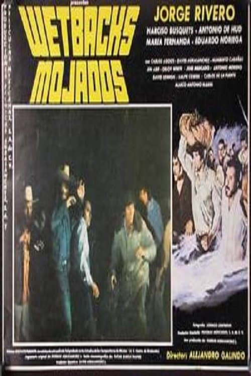 Постер: Mojados