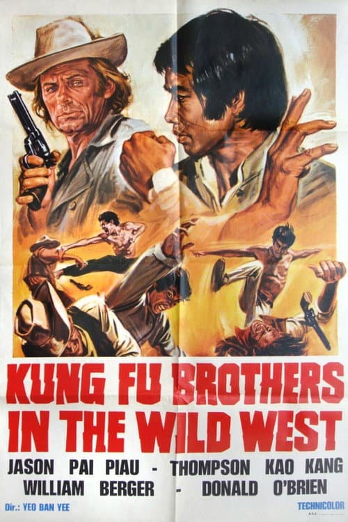 Постер: Kung Fu nel pazzo west