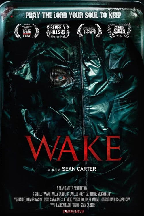 Постер: Wake
