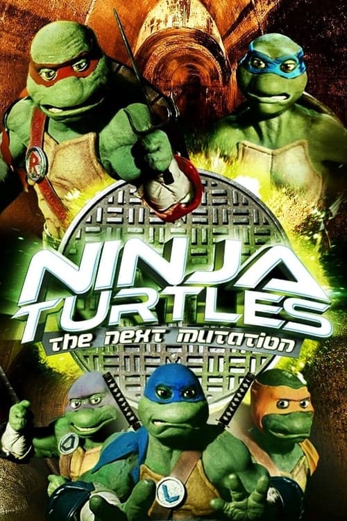 Постер: Ninja Turtles: The Next Mutation