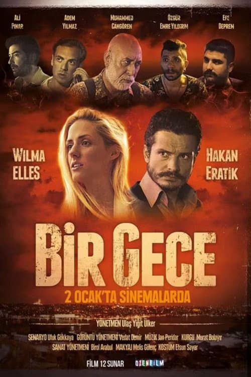 Постер: Bir Gece