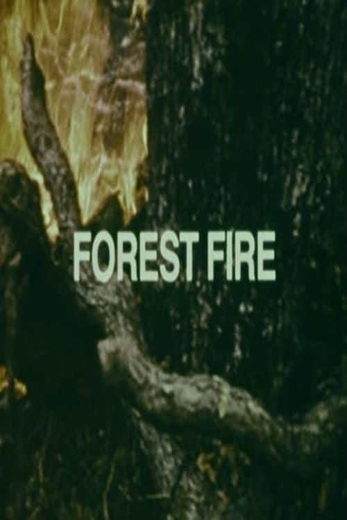 Постер: Your Chance to Live: Forest Fire