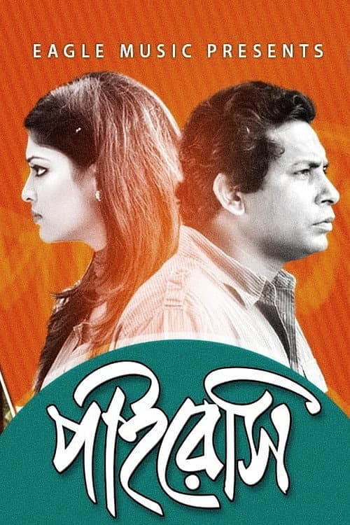 Постер: পাইরেসি
