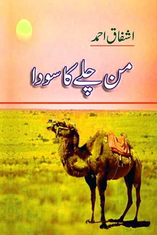 Постер: من چلے کا سودا