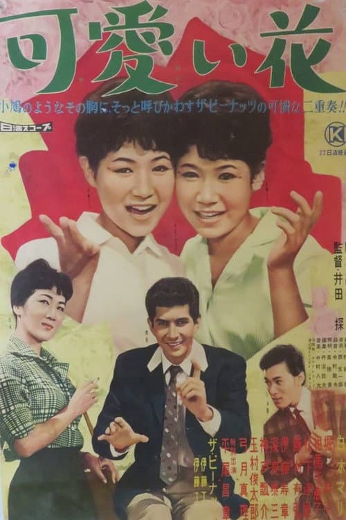 Постер: 可愛い花
