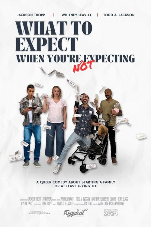 Постер: What to Expect When You're Not Expecting
