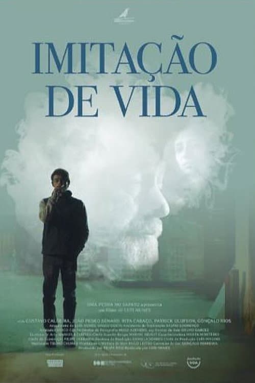 Постер: Imitação de Vida