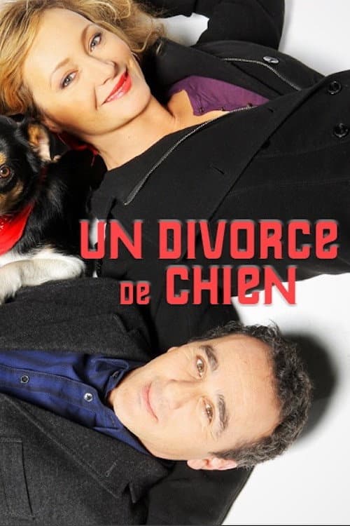 Постер: Un divorce de chien